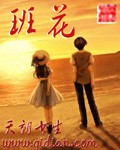 班花章节列表