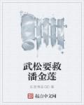 武松要救潘金莲章节列表