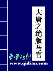 大唐马王爷章节列表