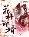 花样娇婿章节列表