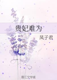 贵妃难为章节列表