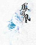 凤囚凰章节列表