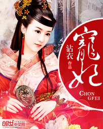 宠妃章节列表