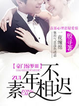 豪门惊梦 III素年不相迟章节列表