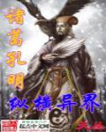 诸葛孔明纵横异界章节列表