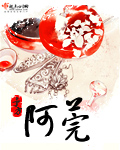 阿莞章节列表