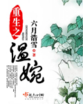 重生之温婉章节列表
