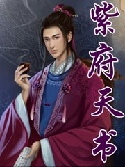 紫府天书章节列表