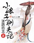 小娘子驯夫记章节列表