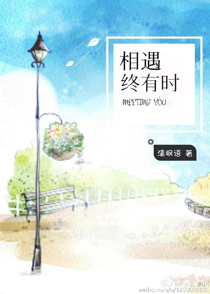 相遇终有时章节列表