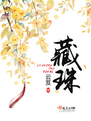 藏珠章节列表