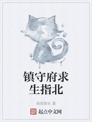 镇守府求生指北章节列表