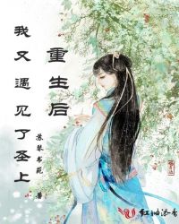 重生后我又遇见了圣上章节列表