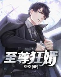 至尊狂婿章节列表