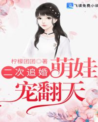二次追婚：萌娃宠翻天章节列表