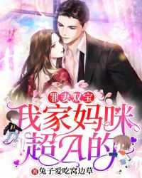 罪妻双宝：我家妈咪超A的章节列表