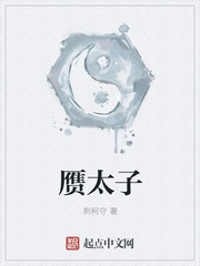 赝太子章节列表