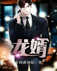 龙婿章节列表
