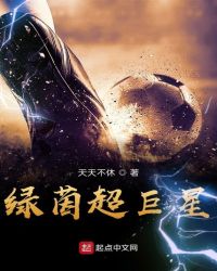 绿茵超巨星章节列表