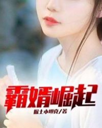 上门女婿叶辰章节列表
