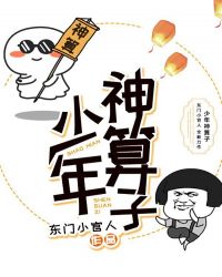 少年神算子章节列表
