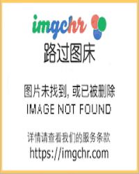 偏执太子白月光带球跑了章节列表