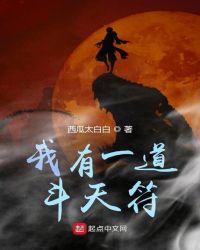 我有一道斗天符章节列表