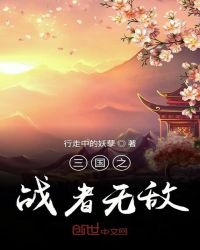 三国之战者无敌章节列表