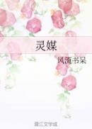灵媒章节列表