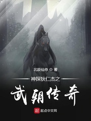 王莽狄仁杰章节列表