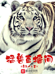 猛兽直播间(廖不十)章节列表