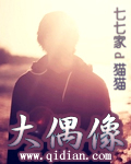 大偶像章节列表