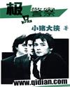 极品警察章节列表
