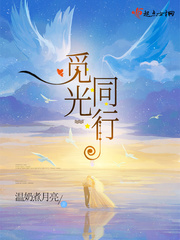 觅光同行章节列表