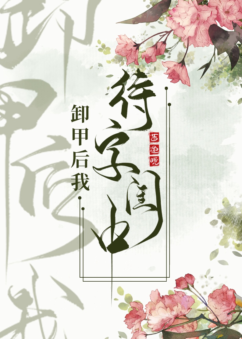 卸甲后我待字闺中章节列表
