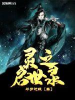 灵之启世录章节列表