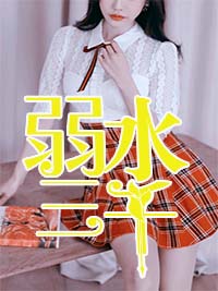 无敌战王叶城柳昭晴章节列表