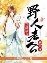 叶清心启章节列表