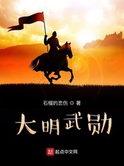 大明武勋章节列表