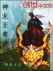 神龙至尊诀章节列表