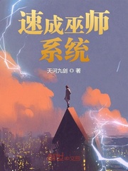 速成巫师系统章节列表