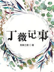 丁薇记事章节列表