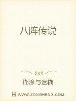八阵传说章节列表