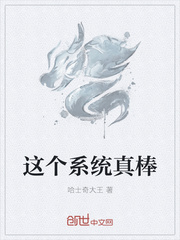 这个系统真棒章节列表