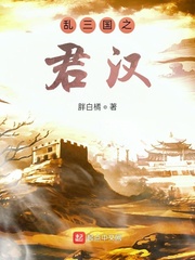 乱三国之君汉章节列表
