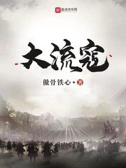 大流寇陆四章节列表