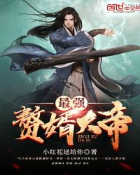最强赘婿大帝章节列表