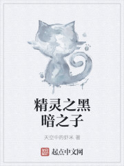 精灵之黑暗之子章节列表