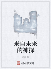来自未来的神探章节列表