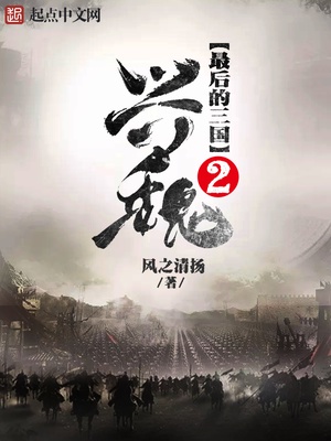 最后的三国2兴魏章节列表